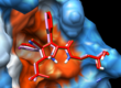 Quantum computing for drug discovery